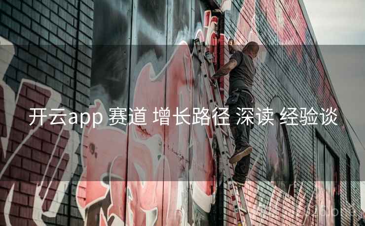 开云app 赛道 增长路径 深读 经验谈