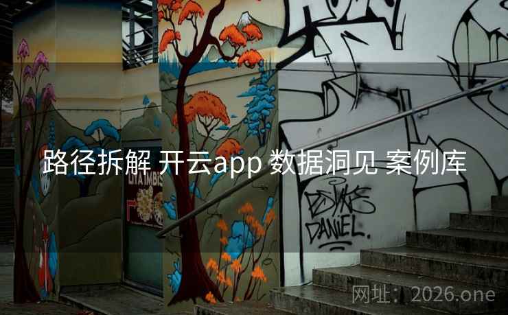 路径拆解 开云app 数据洞见 案例库