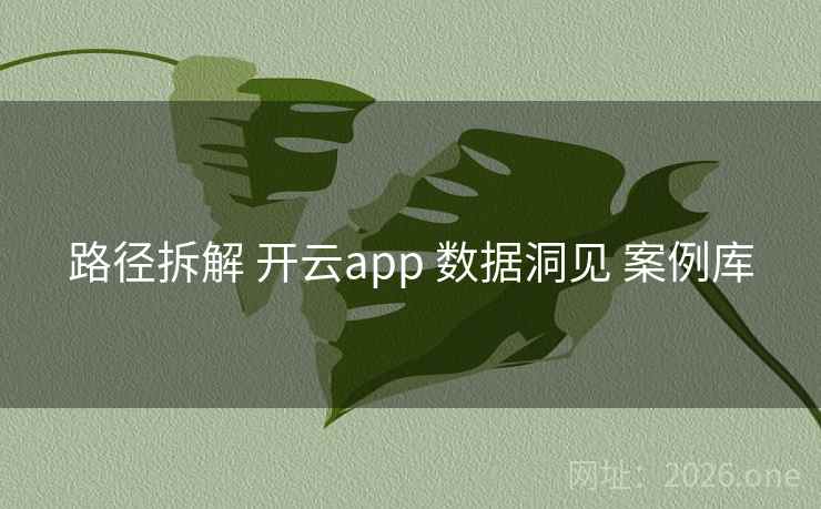 路径拆解 开云app 数据洞见 案例库
