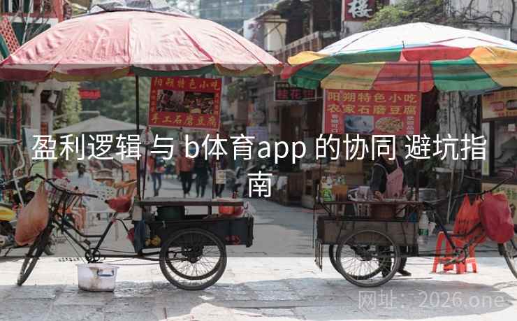 盈利逻辑 与 b体育app 的协同 避坑指南