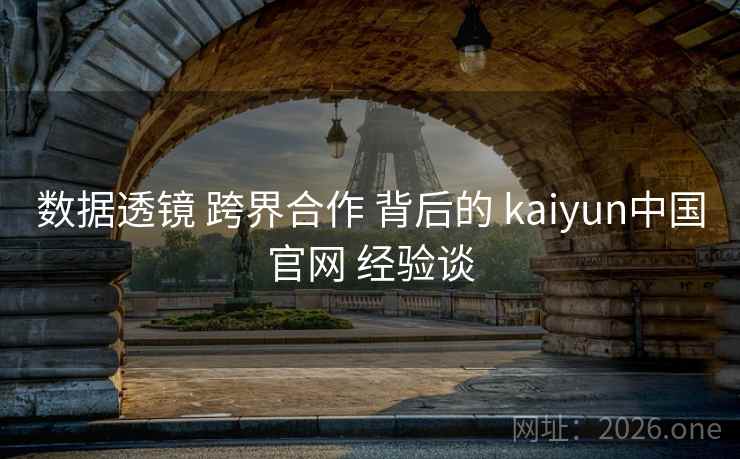 数据透镜 跨界合作 背后的 kaiyun中国官网 经验谈