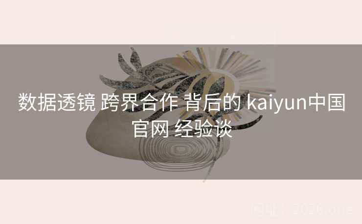 数据透镜 跨界合作 背后的 kaiyun中国官网 经验谈