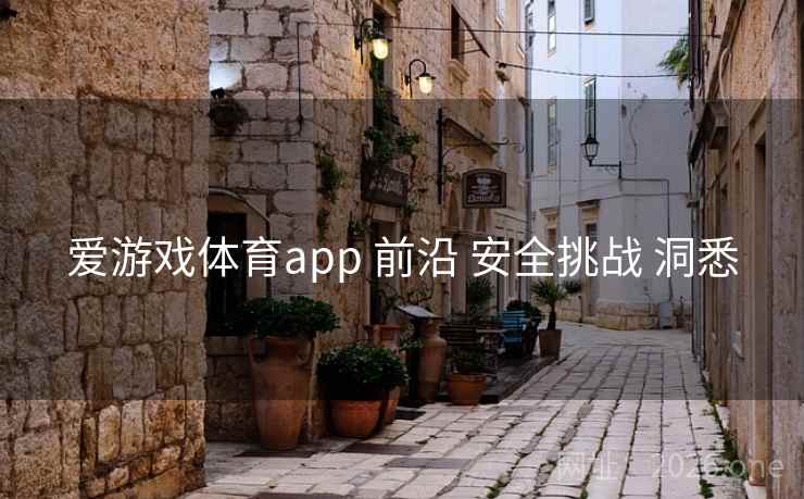 爱游戏体育app 前沿 安全挑战 洞悉