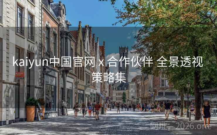 kaiyun中国官网 x 合作伙伴 全景透视 策略集