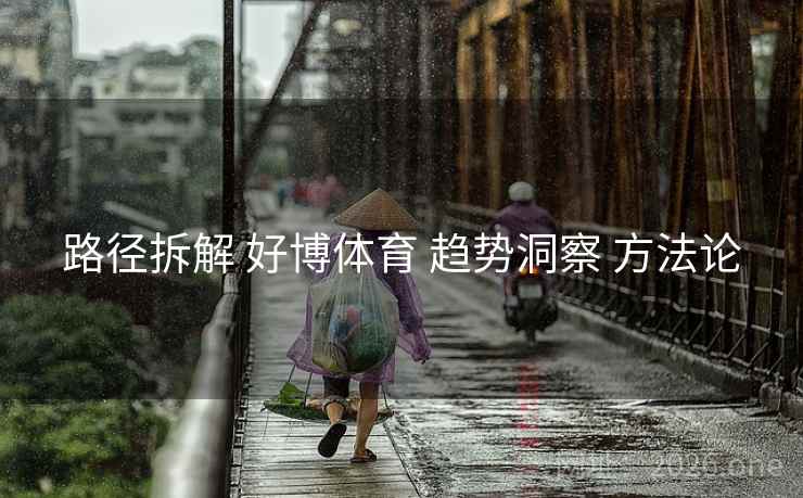 路径拆解 好博体育 趋势洞察 方法论