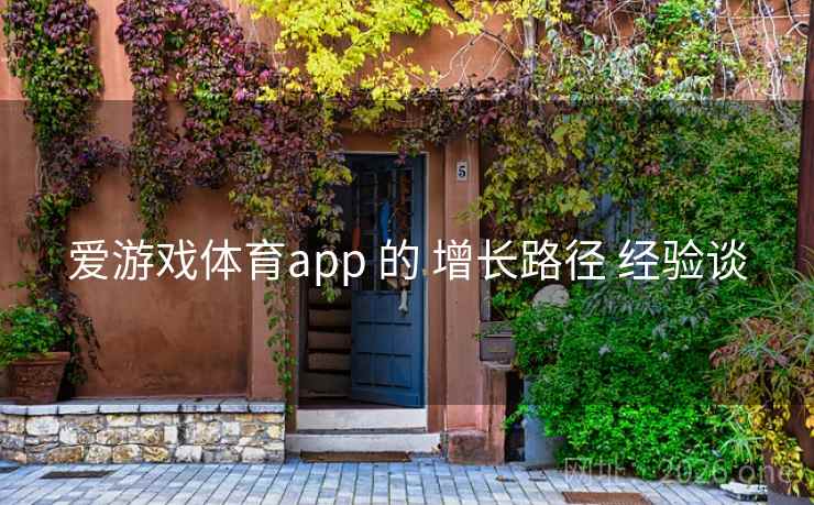 爱游戏体育app 的 增长路径 经验谈