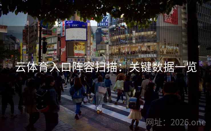 云体育入口阵容扫描：关键数据一览